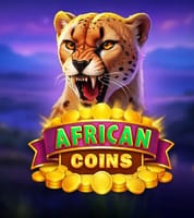 African Coins Hold and Spin