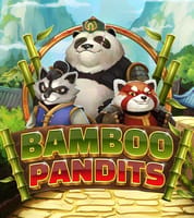 Bamboo Pandits