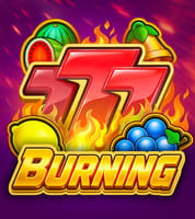 Burning 777