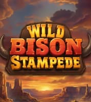 Wild Bison Stampede