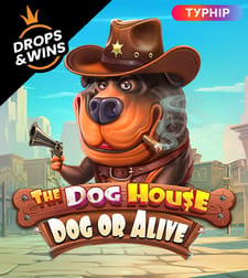 The Dog House – Dog or Alive