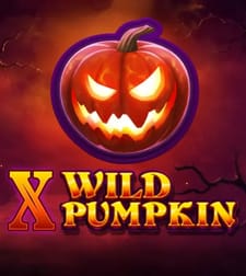 X Wild Pumpkin