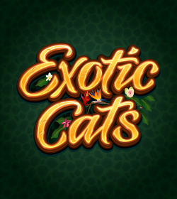 Exotic Cats